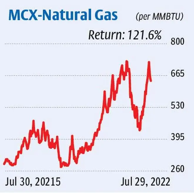 Natural gas price might drop from current levels The Hindu BusinessLine